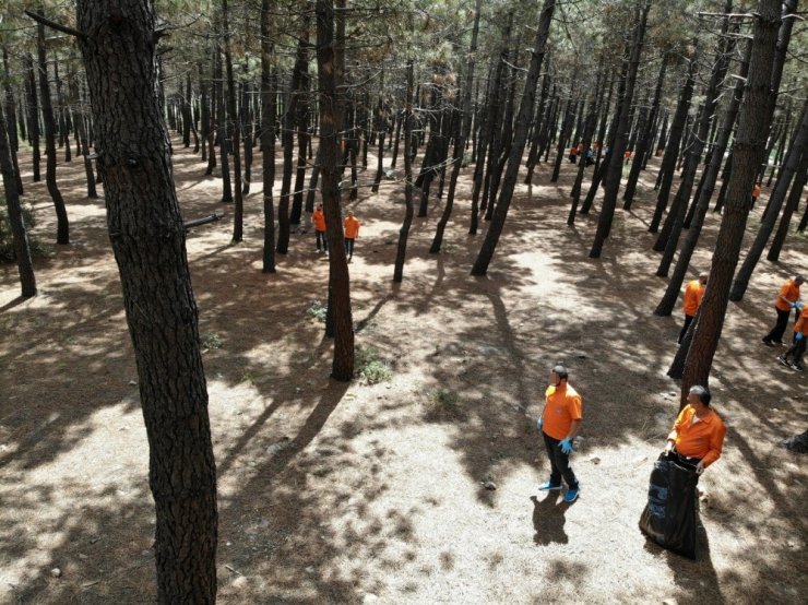 Aydos Ormanı’nda denetimli serbestlik yükümlüleri çevre temizliği yaptı