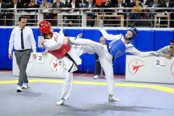 TÜRKİYE BÜYÜKLER TAEKWONDO ŞAMPİYONASI SONA ERDİ