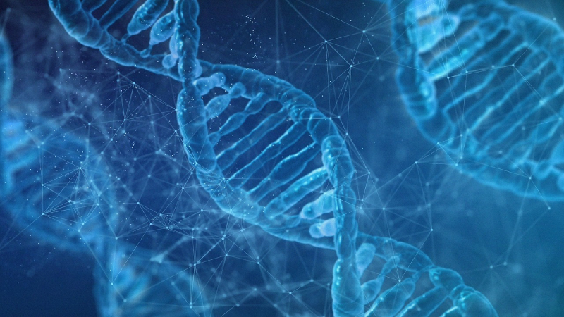 
ABD'deki bilim insanları, ilginç bir keşif yaparak DNA örneklerinin insanın